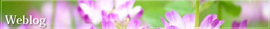 weblog